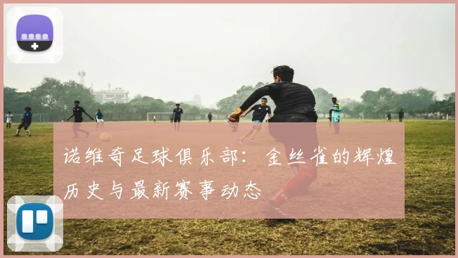 诺维奇足球俱乐部:金丝雀的辉煌历史与最新赛事动态