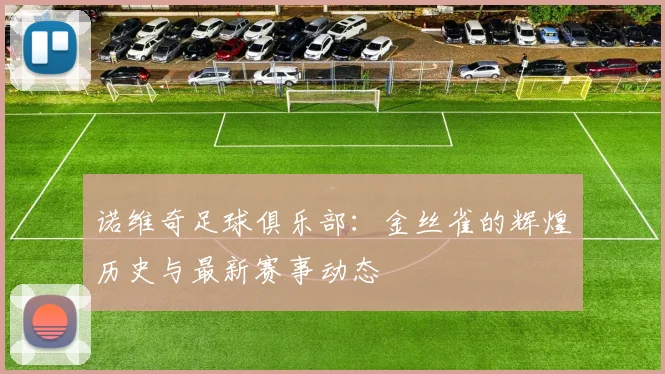 诺维奇足球俱乐部：金丝雀的辉煌历史与最新赛事动态